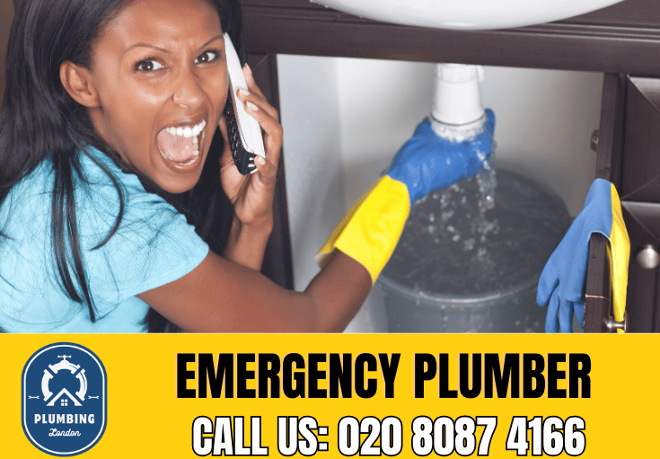 emergency plumber Highgate